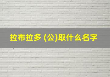 拉布拉多 (公)取什么名字